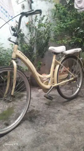 Speda exotic ukuran 26