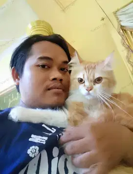 Cari pekerjaan yang halal