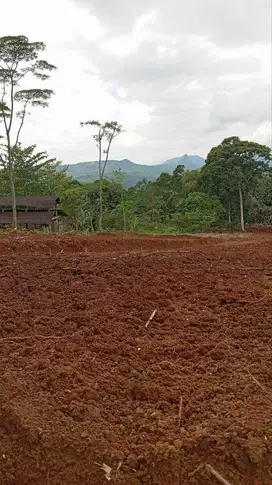DI JUAL TANAH KAVLING SHM STRATEGIS VIEW GUNUNG HANJAWONG BOGOR TIMUR