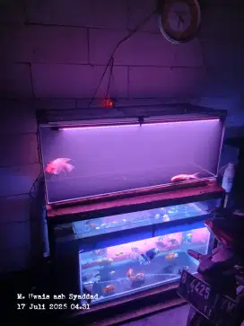 Aquarium Fiter Samping 100cm