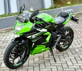 Kawasaki Ninja 250 mono 2015 Tgn 1