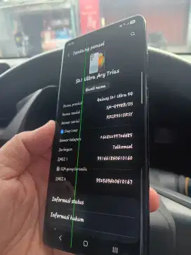 Samsung S21 Ultra Eks Sein Minus