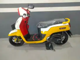 Fazio Neo 2022 custom
