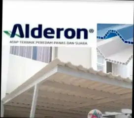 Canopi alderon 14