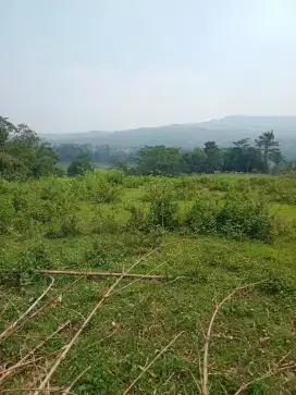 Dijual tanah luas 1,4 ha harga 125rb/m lokasi di sukamakmur