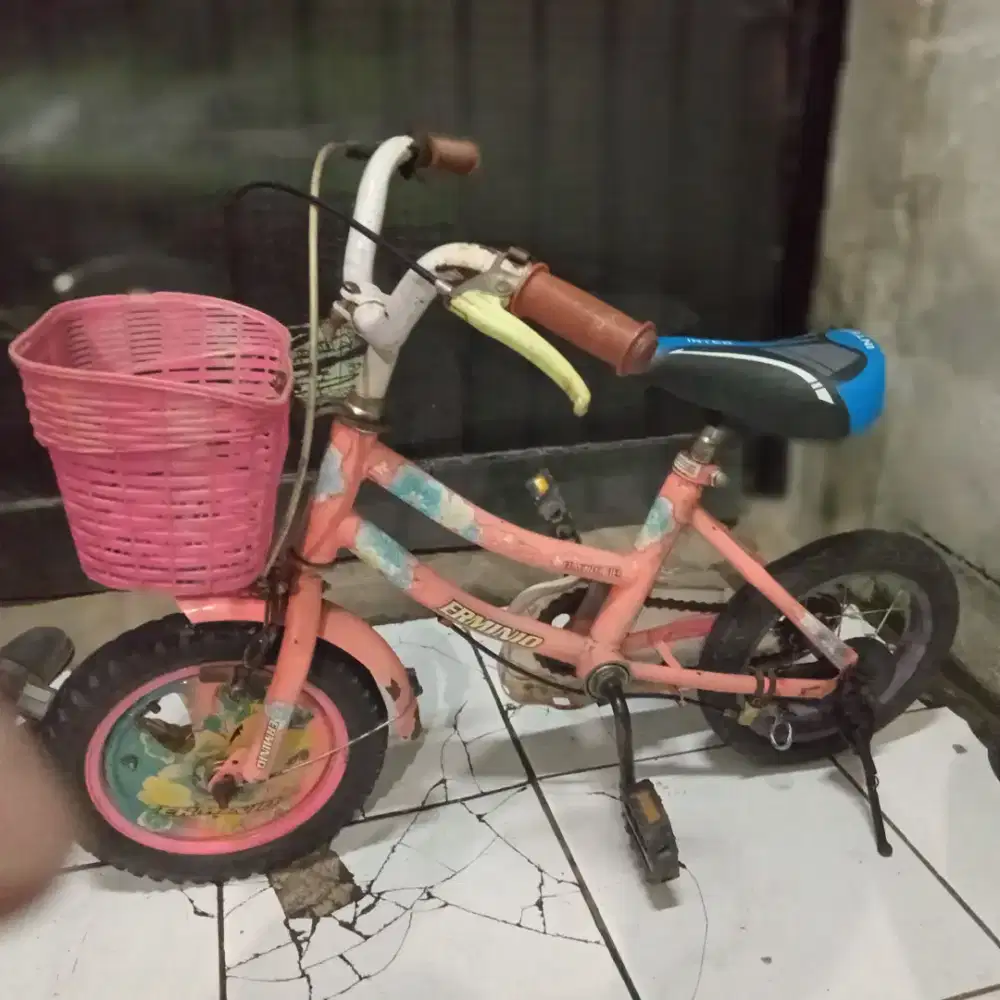 Sepedan anak ukuran 12
