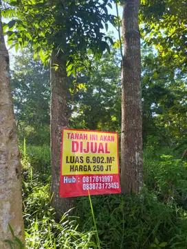 Dijual 0,7 Ha Tanah Murah Strategis