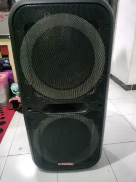 Speaker assastron