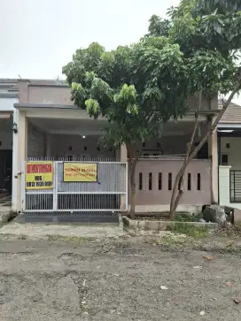 Rumah Dijual / Dikontrakan lokasi Strategis