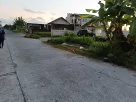 Disewakan tanah bagus strategis akses jalan lebar dekat kampus