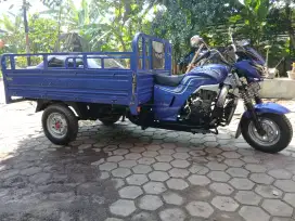 Viar 200 long istimewa