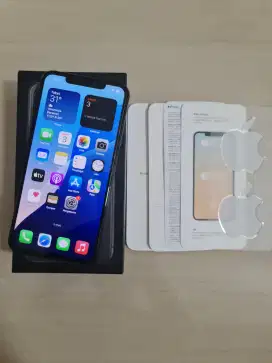 Iphone 11 Pro Max 256Gb