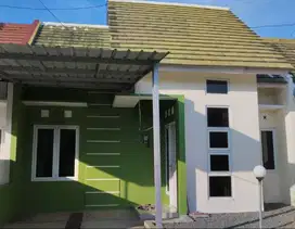 DI SEWAKAN RUMAH BARU