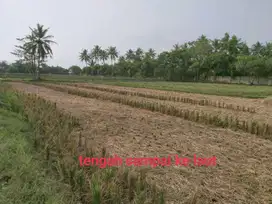 Dijual Murah Tanah siap Bangun di Panimbang Serang