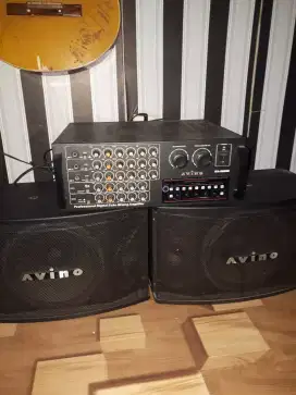 Set ampli&speaker avino