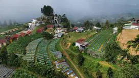 Tanah Area Wisata