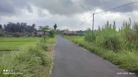 DIJUAL TANAH SAWAH DEKAT PASAR DI SLEMAN YOGYAKARTA