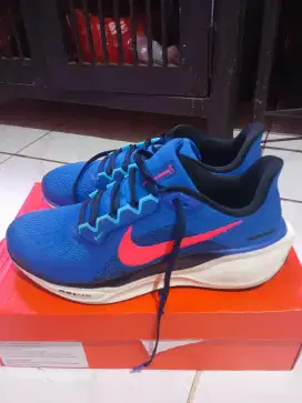 sepatu nike pegasus 41
