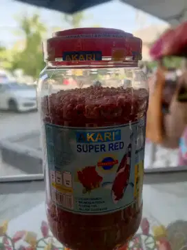 Makanan ikan Akari super Red 5mm