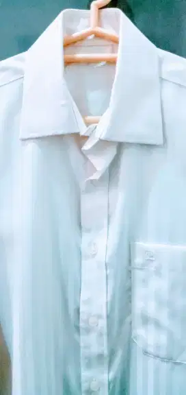 Kemeja PIERRE CARDIN