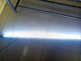 Lampu aquarium ikan hias