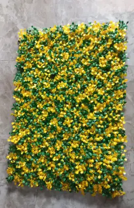 Daun dolar hijau kuning