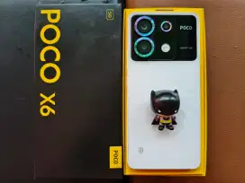 poco x6 5g 12/256 fullset