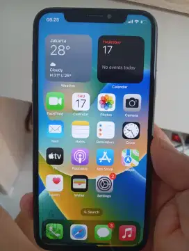 Iphone X Hitam 256Gb