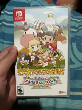 Story of Season - Friend of Mineral town Nintendo Switch (second)