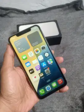 iPhone 11 pro max 64 GB ex inter