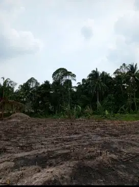 Dijual tanah kebun