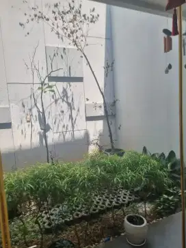 Rumah terawat siap pakai citraland