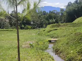 Kavling murah di puncak bogor megamendung