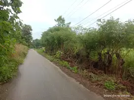 DiJual Tanah Pertanian