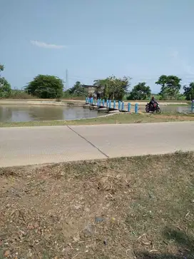 Tanah Sawah Subang Dekat Pelabuhan Internasional