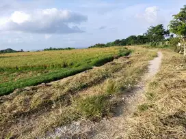 Tanah yeh gangga tabanan bali