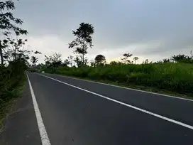 Tanah Murah Dekat Hanging Garden Payangan