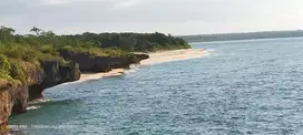 Dijual Murah Tanah Loss Pantai Newa Sumba Barat Daya