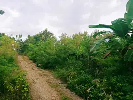 Dijual Murah Tanah Strategis area Kota Sumba Barat Daya