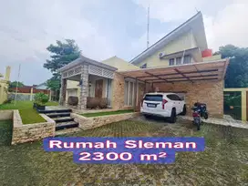 Rumah Tanah Luas Sleman Dengan Kolam Renang Area Tenang