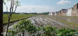 TANAH STRATEGIS BELAKANG ALANA COLOMADU
