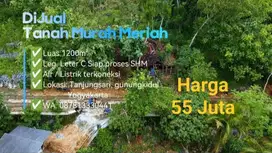 Murah Luas 1200m² Harga 55 juta Lokasi : Gunungkidul Yogyakarta