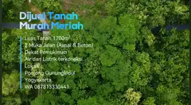 Dijual Tanah Murah Luas 1700m² Harga 150 juta Lokasi : Ponjong, GK