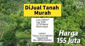 Dijual Tanah Jalur wisata Pantai Luas 3393m² Harga 155 juta