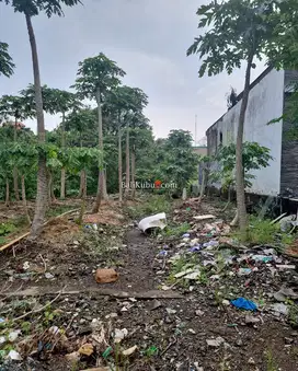 AMS-070.RGL Jual Tanah Kavling Murah di Perumahan Exclusive di Tabanan