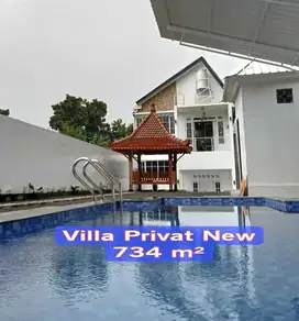 Rumah Villa Kolam Renang Baru Tanah Luas Jogja
