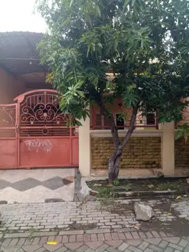 Dijual Rumah di Surabaya Selatan di Kutisari dekat UK Petra