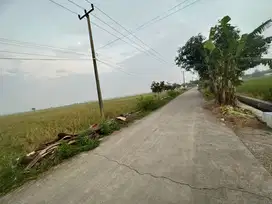 Tanah sawah produktif pinggir jalan di Banyusari