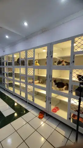 Penitipan kucing kelinci hamster ayam