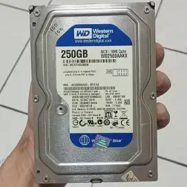 HDD Komputer PC 250GB SATA. Sentinel 100/100